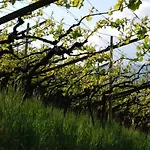 Apartman Weingut Messnerhof Bolzano