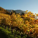 Weingut Messnerhof *