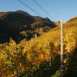 Weingut Messnerhof