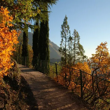 Weingut Messnerhof Appartamento Bolzano