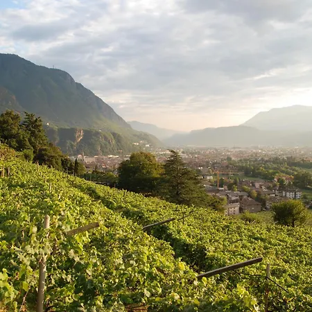 Appartamento Weingut Messnerhof *