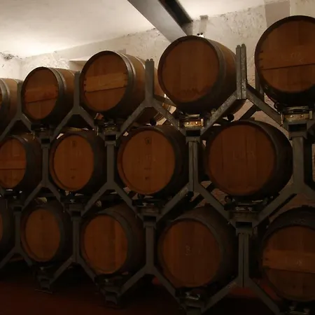 Lägenhet Weingut Messnerhof *