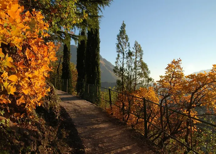 Weingut Messnerhof Διαμέρισμα Μπολζάνο