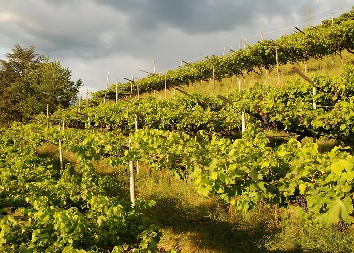 Weingut Messnerhof