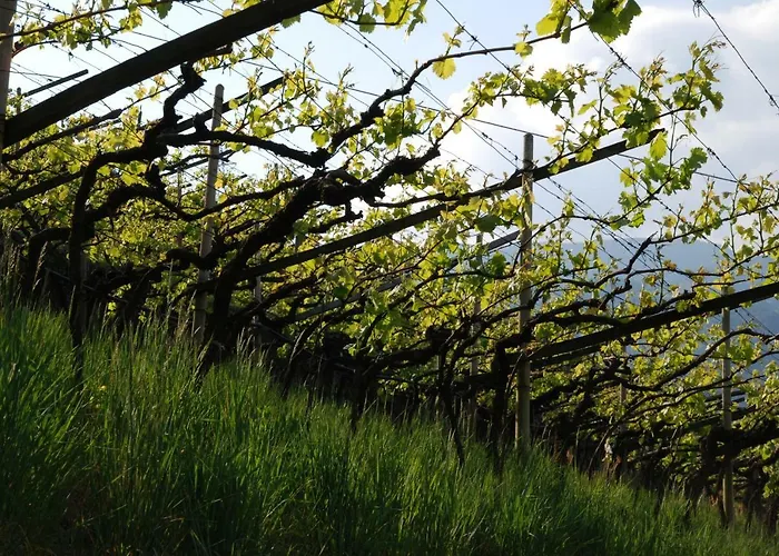 Διαμέρισμα Weingut Messnerhof Μπολζάνο