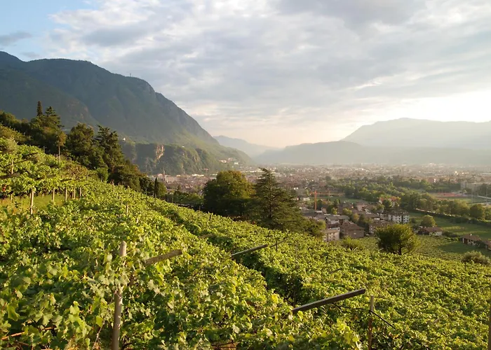 Διαμέρισμα Weingut Messnerhof *