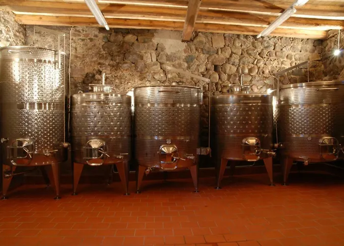 Lejlighed Weingut Messnerhof